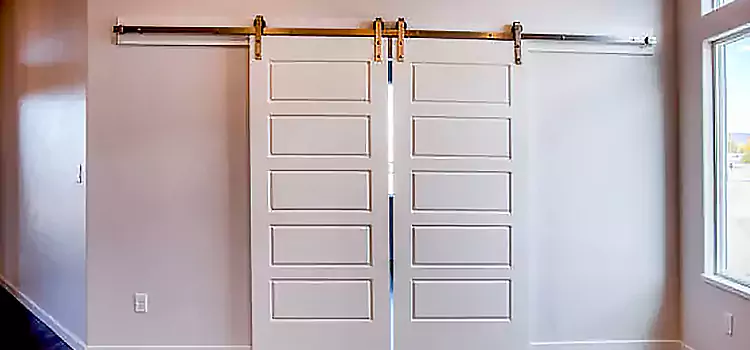 Glass Barn Door with Installation Hardware Kit Patterson