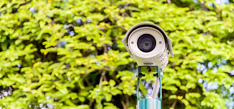 Advanced Surveillance Solutions for Every Need in Patterson