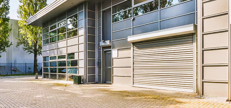 Electric Roller Garage Doors Patterson
