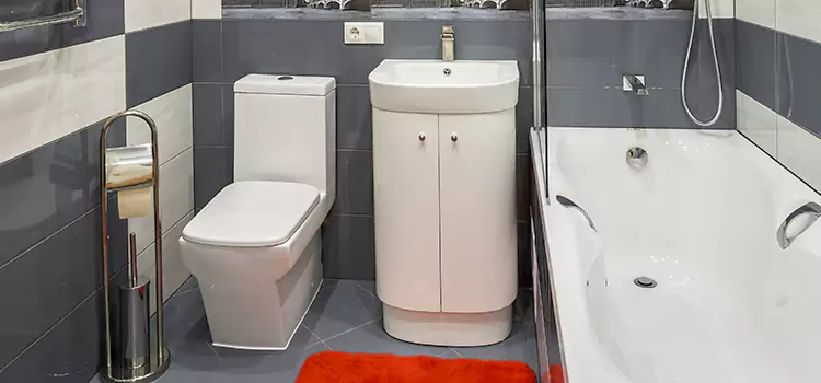 Hansgrohe Shaving Mirror Patterson